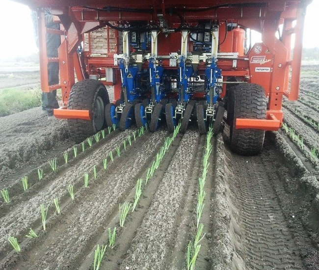 futura-twin-automated-transplanter (2)