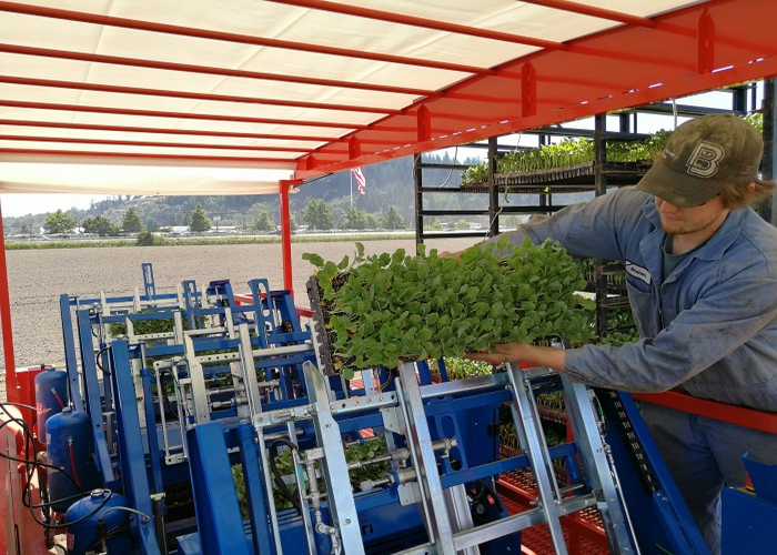 futura-twin-automated-transplanter 700x500